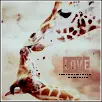 Love in Africa