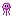violet jellyfish