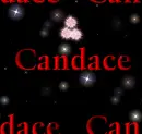 Candace