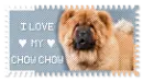 Chow Chow