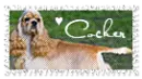 Cocker