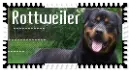 Rott