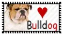 Bulldog
