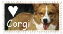 Corgi
