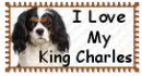 King Charles