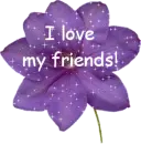 Purple Flower saying I love my fgriends