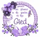Gied