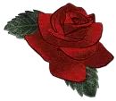 Red Rose