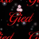Gied
