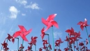 Pinwheel