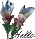 Flower Hello