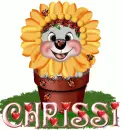 chrissi
