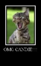 OMG CANDIE