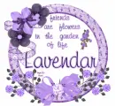 Lavendar