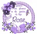 Rose