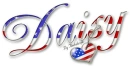 USA Heart-Daisy