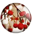 Berry Button