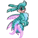 pet