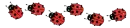 Lady bugs Divider