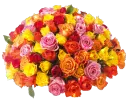 Roses