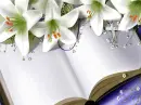Book and lilies