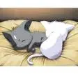 Cute Anime Kittens