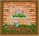 Pelia