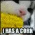 I Haz A Corn