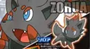Zorua