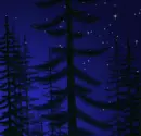 Starry night