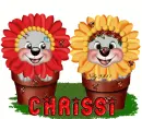 chrissi