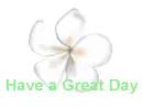 Have a great day!