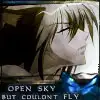 Open Sky But Couldn't Fly