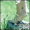 reach for the sky