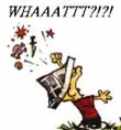Angry Calvin