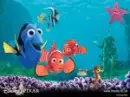 go on fishy!