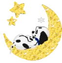 dalmation