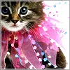 cute kitty :] <3