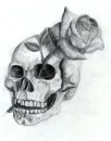 skull and rose