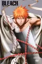 Ichigo