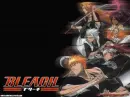 Bleach
