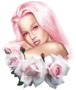 pink rose lady