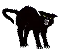Dangerous Black Cat