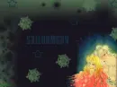 Sailor Moon and Eternal Galaxia