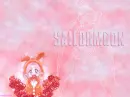 Chibi Chibi and Sailor Moon