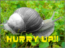 HurryUp