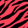 Zebra Stripes