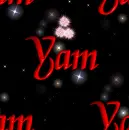 Yam