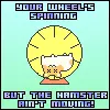 Dead Hamster