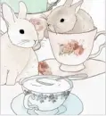 Tea cup Bunnies